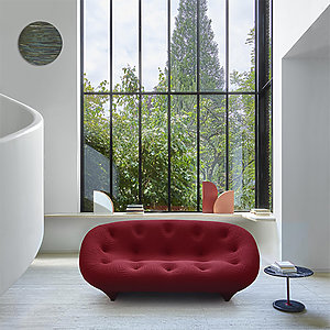 ploum ligne roset