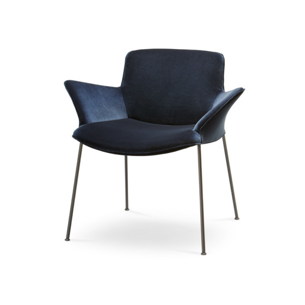 Burgaz Chair - Walter Knoll